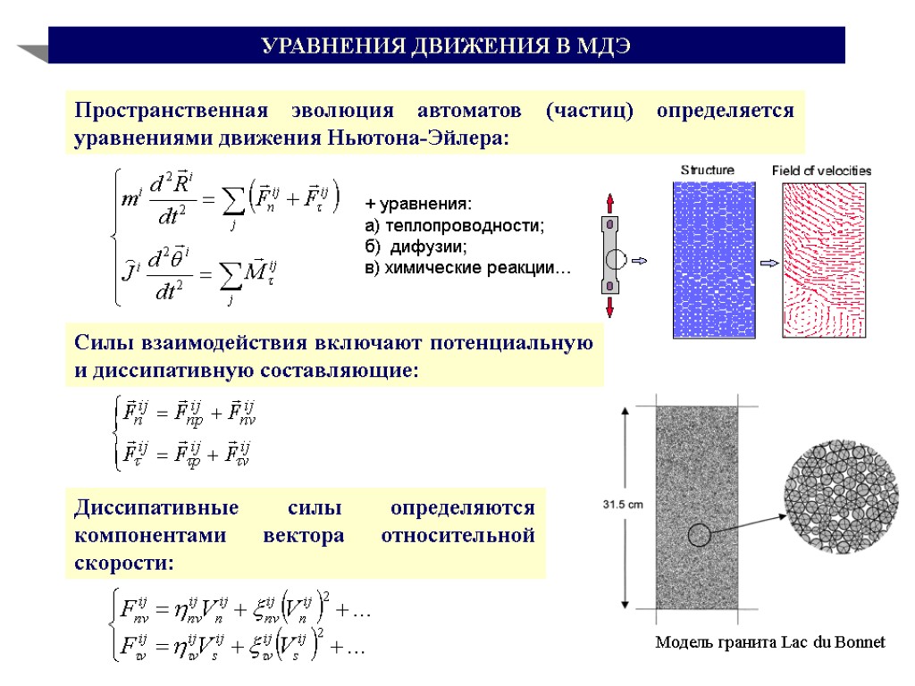УРАВНЕНИЯ ДВИЖЕНИЯ В МДЭ Пространственная эволюция автоматов (частиц) определяется уравнениями движения Ньютона-Эйлера: Силы взаимодействия